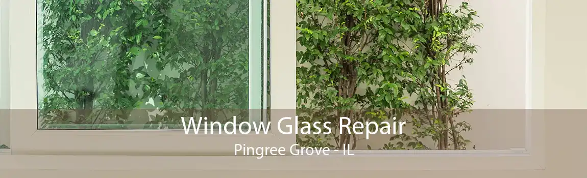 Window Glass Repair Pingree Grove - IL