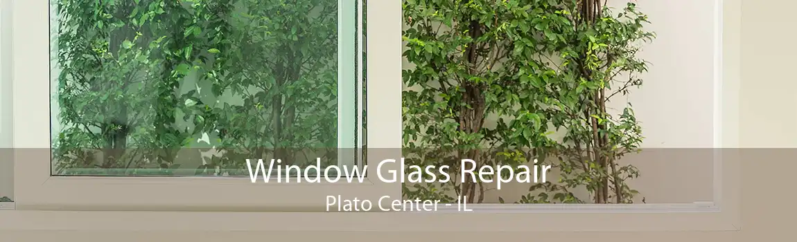 Window Glass Repair Plato Center - IL