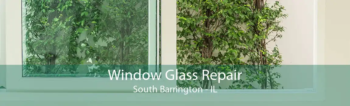 Window Glass Repair South Barrington - IL
