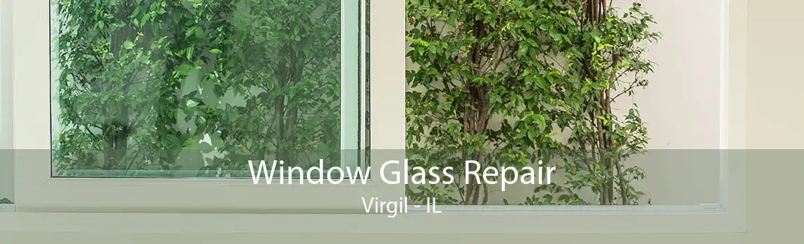 Window Glass Repair Virgil - IL