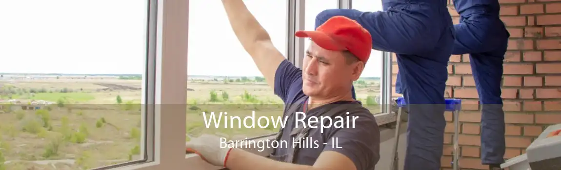 Window Repair Barrington Hills - IL