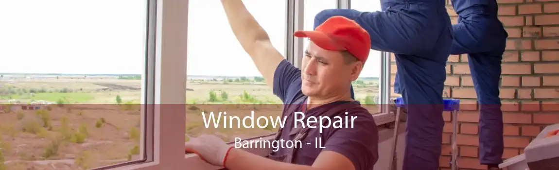 Window Repair Barrington - IL