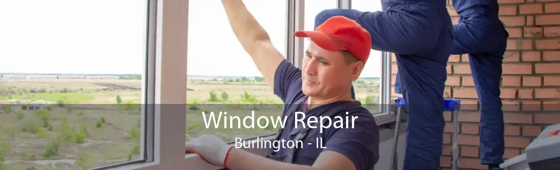 Window Repair Burlington - IL