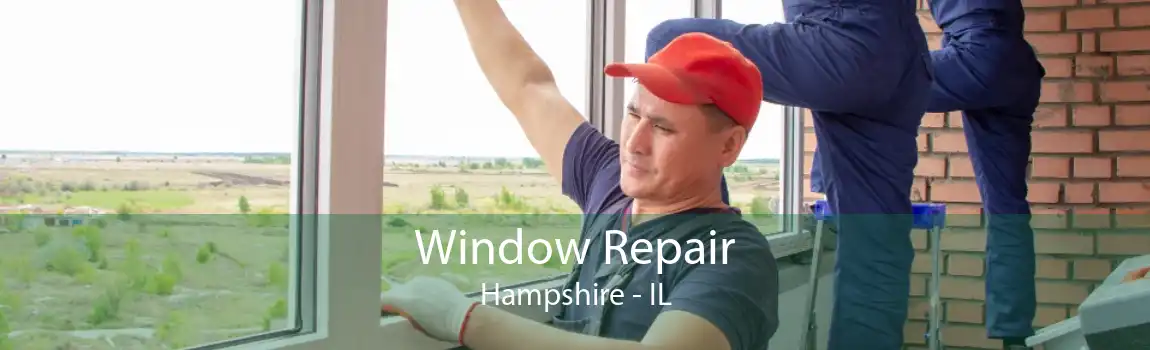 Window Repair Hampshire - IL