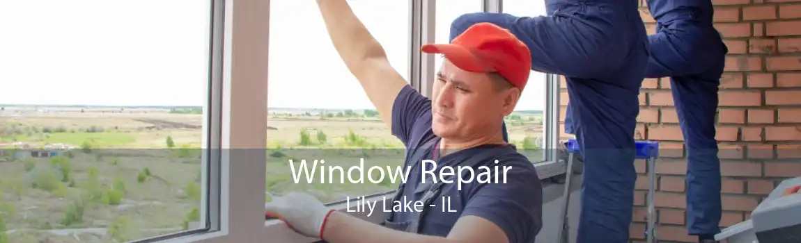 Window Repair Lily Lake - IL