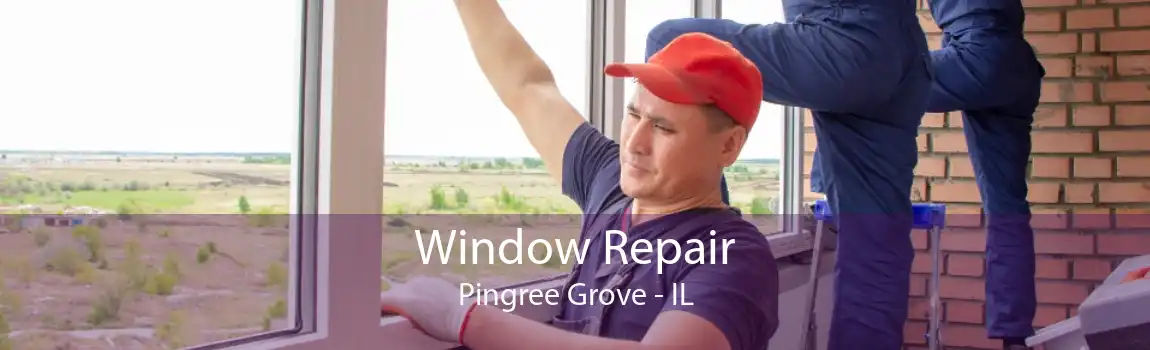 Window Repair Pingree Grove - IL