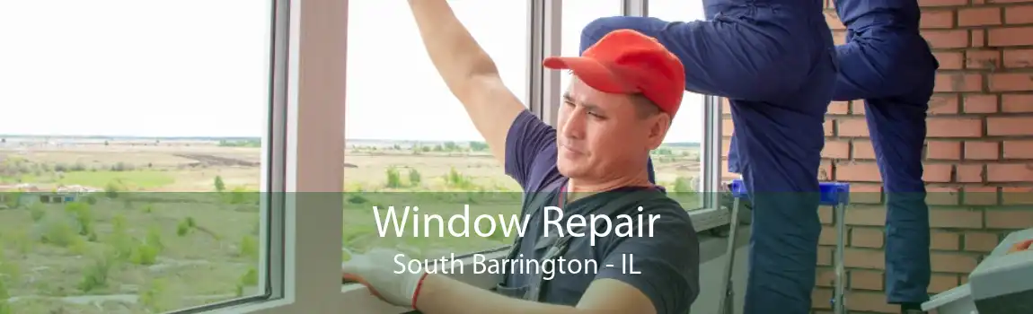 Window Repair South Barrington - IL