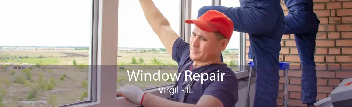 Window Repair Virgil - IL