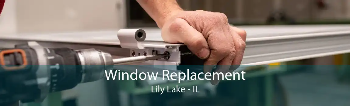 Window Replacement Lily Lake - IL