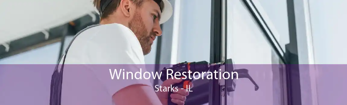 Window Restoration Starks - IL