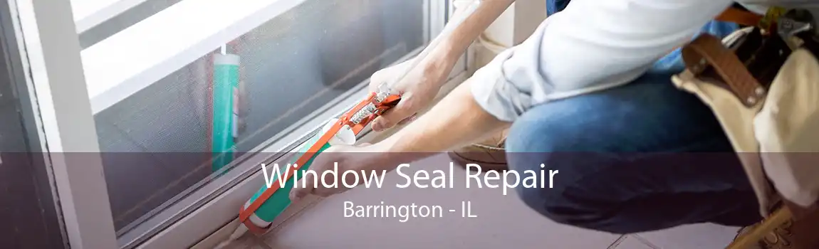 Window Seal Repair Barrington - IL