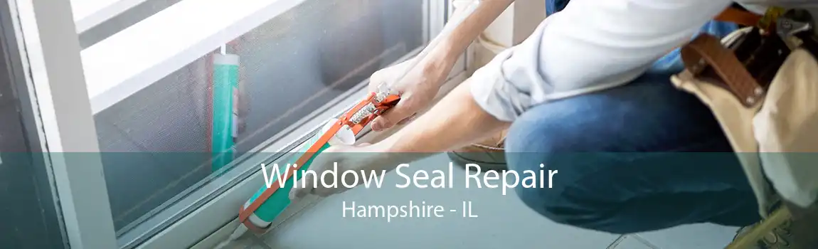 Window Seal Repair Hampshire - IL
