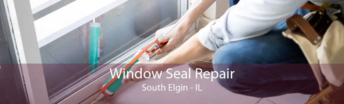 Window Seal Repair South Elgin - IL