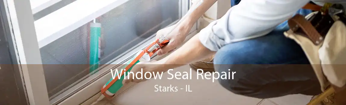 Window Seal Repair Starks - IL