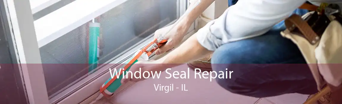 Window Seal Repair Virgil - IL